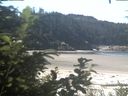 ./images/calvert/beach/20200726/beach20200726_111502.jpg