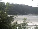 ./images/calvert/beach/20200726/beach20200726_121002.jpg