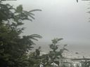 ./images/calvert/beach/20200726/beach20200726_124003.jpg