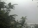 ./images/calvert/beach/20200726/beach20200726_124502.jpg