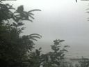 ./images/calvert/beach/20200726/beach20200726_125003.jpg