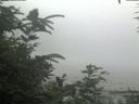 ./images/calvert/beach/20200726/beach20200726_125502.jpg