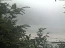 ./images/calvert/beach/20200726/beach20200726_130503.jpg