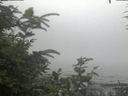 ./images/calvert/beach/20200726/beach20200726_131003.jpg