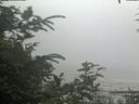 ./images/calvert/beach/20200726/beach20200726_131502.jpg
