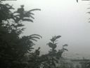 ./images/calvert/beach/20200726/beach20200726_133501.jpg