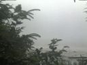 ./images/calvert/beach/20200726/beach20200726_134501.jpg