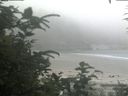 ./images/calvert/beach/20200726/beach20200726_143503.jpg