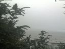 ./images/calvert/beach/20200726/beach20200726_145003.jpg