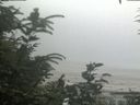./images/calvert/beach/20200726/beach20200726_145503.jpg
