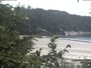 ./images/calvert/beach/20200729/beach20200729_144001.jpg