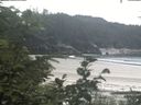 ./images/calvert/beach/20200729/beach20200729_150502.jpg