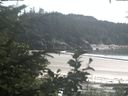 ./images/calvert/beach/20200729/beach20200729_154503.jpg