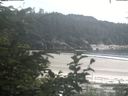 ./images/calvert/beach/20200729/beach20200729_155502.jpg