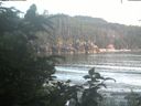 ./images/calvert/beach/20200729/beach20200729_210503.jpg