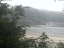 ./images/calvert/beach/20200731/beach20200731_071002.jpg