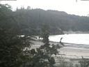 ./images/calvert/beach/20200731/beach20200731_144002.jpg
