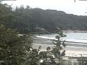 ./images/calvert/beach/20200731/beach20200731_145502.jpg