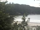 ./images/calvert/beach/20200801/beach20200801_124001.jpg
