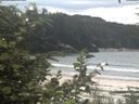 ./images/calvert/beach/20200801/beach20200801_132001.jpg