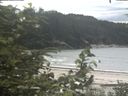 ./images/calvert/beach/20200801/beach20200801_135503.jpg
