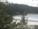 ./images/calvert/beach/20200801/beach20200801_142503.jpg