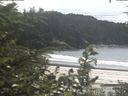 ./images/calvert/beach/20200801/beach20200801_143502.jpg