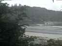 ./images/calvert/beach/20200803/beach20200803_054003.jpg