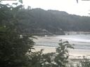 ./images/calvert/beach/20200803/beach20200803_105002.jpg