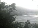 ./images/calvert/beach/20200804/beach20200804_060001.jpg