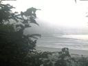 ./images/calvert/beach/20200804/beach20200804_061001.jpg