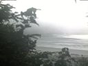 ./images/calvert/beach/20200804/beach20200804_061502.jpg