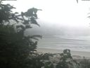 ./images/calvert/beach/20200804/beach20200804_062501.jpg