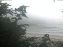 ./images/calvert/beach/20200804/beach20200804_063502.jpg