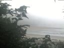 ./images/calvert/beach/20200804/beach20200804_064003.jpg