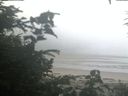 ./images/calvert/beach/20200804/beach20200804_065503.jpg