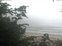 ./images/calvert/beach/20200804/beach20200804_071002.jpg