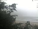 ./images/calvert/beach/20200804/beach20200804_071503.jpg