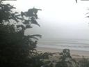 ./images/calvert/beach/20200804/beach20200804_072502.jpg