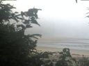 ./images/calvert/beach/20200804/beach20200804_074503.jpg