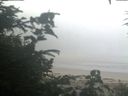 ./images/calvert/beach/20200804/beach20200804_075001.jpg
