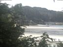 ./images/calvert/beach/20200804/beach20200804_095502.jpg