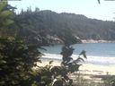 ./images/calvert/beach/20200804/beach20200804_160502.jpg
