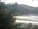 ./images/calvert/beach/20200806/beach20200806_085003.jpg