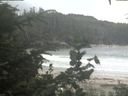 ./images/calvert/beach/20200806/beach20200806_152503.jpg