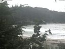 ./images/calvert/beach/20200806/beach20200806_155002.jpg