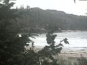 ./images/calvert/beach/20200806/beach20200806_163503.jpg