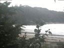 ./images/calvert/beach/20200806/beach20200806_181503.jpg