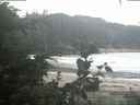 ./images/calvert/beach/20200806/beach20200806_183502.jpg
