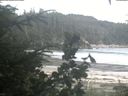 ./images/calvert/beach/20200806/beach20200806_184501.jpg